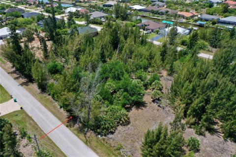 Land in Port Charlotte, Florida № 2166757 - photo 3
