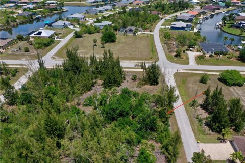 Land in Port Charlotte, Florida № 2166757 - photo 11