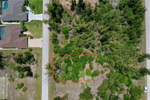 Land in Port Charlotte, Florida № 2166757 - photo 2