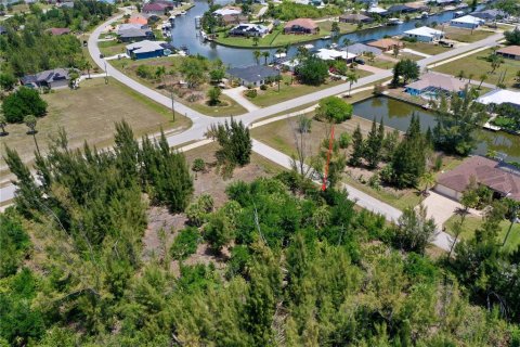 Land in Port Charlotte, Florida № 2166757 - photo 10