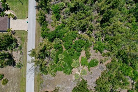 Land in Port Charlotte, Florida № 2166757 - photo 14