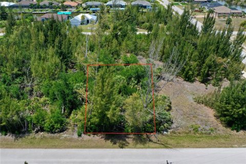 Land in Port Charlotte, Florida № 2166757