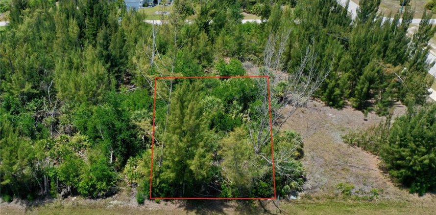 Land in Port Charlotte, Florida № 2166757