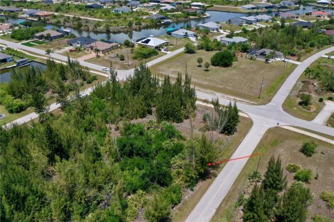 Land in Port Charlotte, Florida № 2166757 - photo 15