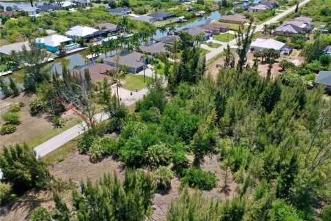 Land in Port Charlotte, Florida № 2166757 - photo 8