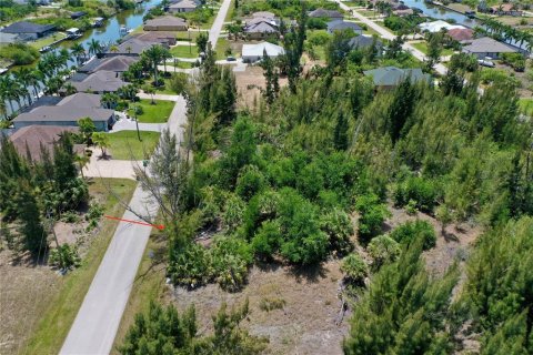 Land in Port Charlotte, Florida № 2166757 - photo 7
