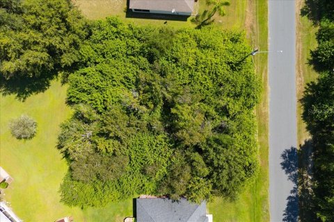 Land in Kissimmee, Florida № 1895196 - photo 7