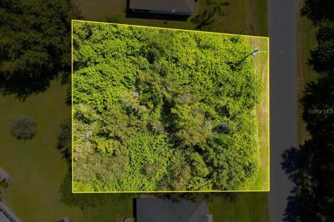 Land in Kissimmee, Florida № 1895196 - photo 8