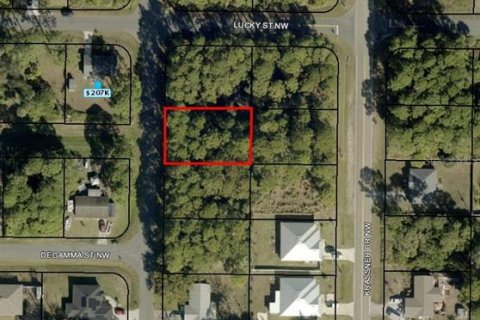 Land in Palm Bay, Florida № 2364460