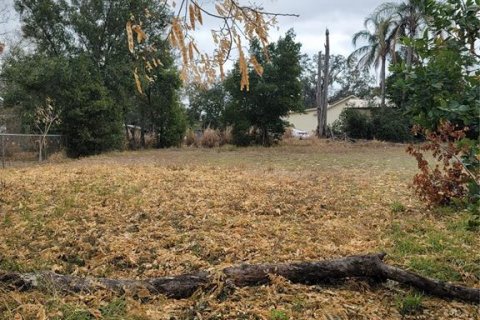 Land in Haines City, Florida № 2161241