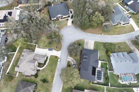 Land in Lakeland, Florida № 1827812 - photo 7
