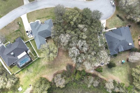 Land in Lakeland, Florida № 1827812 - photo 6