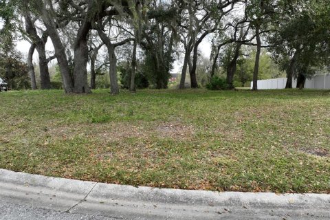 Land in Lakeland, Florida № 1827812 - photo 9