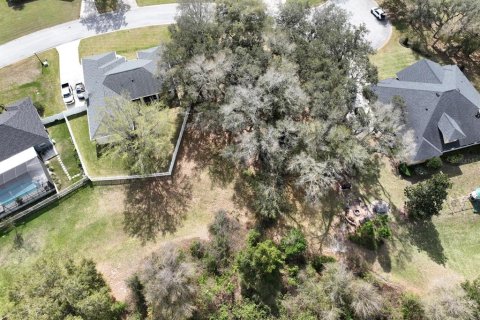 Land in Lakeland, Florida № 1827812 - photo 5