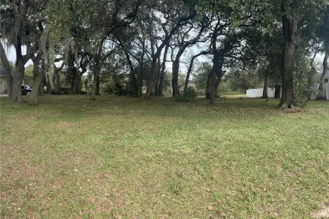 Land in Lakeland, Florida № 1827812 - photo 1