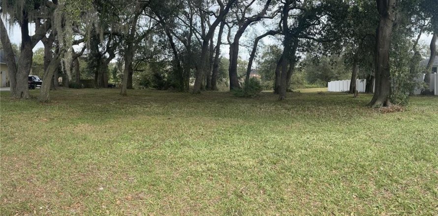 Land in Lakeland, Florida № 1827812