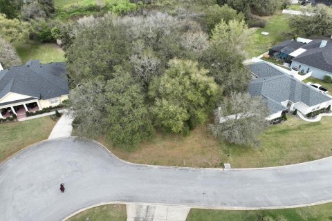 Land in Lakeland, Florida № 1827812 - photo 2
