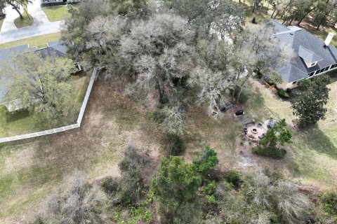 Land in Lakeland, Florida № 1827812 - photo 4