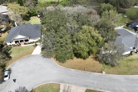 Land in Lakeland, Florida № 1827812 - photo 3