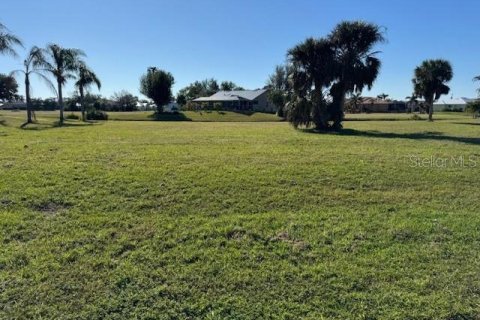 Land in Punta Gorda, Florida № 1520101 - photo 4