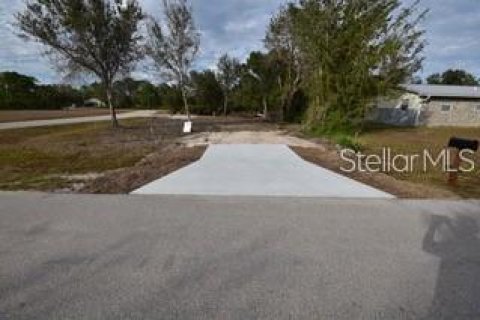 Land in Punta Gorda, Florida № 2161450 - photo 3