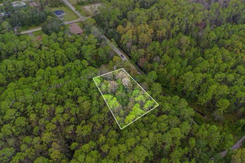 Land in DeLand, Florida № 2159759 - photo 2