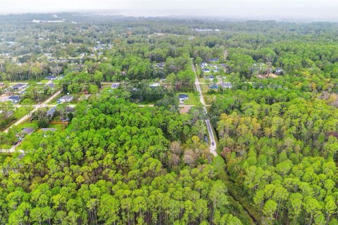 Land in DeLand, Florida № 2159759 - photo 23