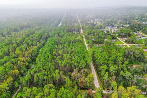 Land in DeLand, Florida № 2159759 - photo 20