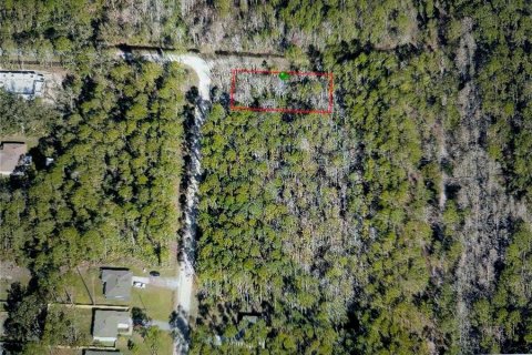 Land in DeLand, Florida № 2159759 - photo 7