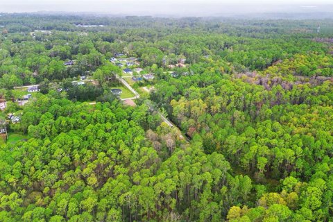 Land in DeLand, Florida № 2159759 - photo 24