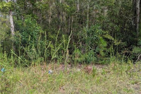 Land in DeLand, Florida № 2159759 - photo 5