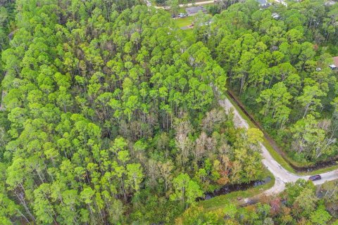Land in DeLand, Florida № 2159759 - photo 10