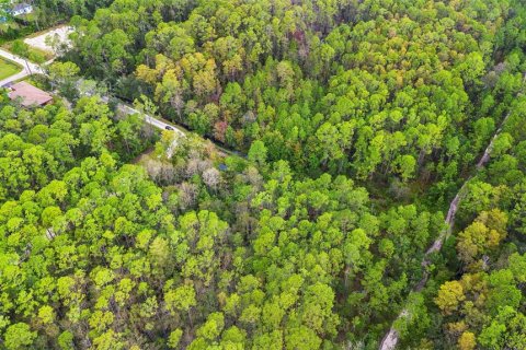 Land in DeLand, Florida № 2159759 - photo 14