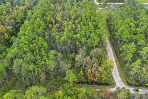 Land in DeLand, Florida № 2159759 - photo 9