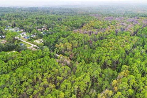 Land in DeLand, Florida № 2159759 - photo 25