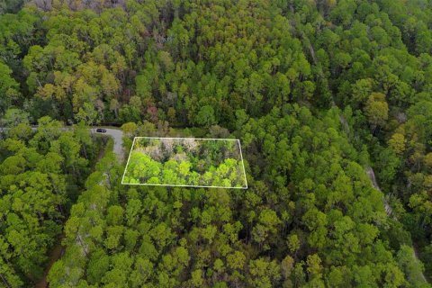 Land in DeLand, Florida № 2159759
