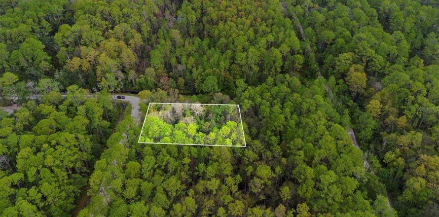 Land in DeLand, Florida № 2159759