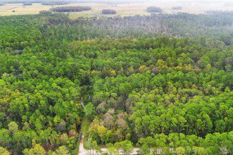 Land in DeLand, Florida № 2159759 - photo 18