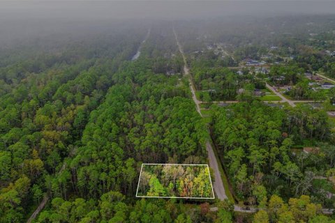 Land in DeLand, Florida № 2159759 - photo 3