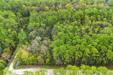 Land in DeLand, Florida № 2159759 - photo 27