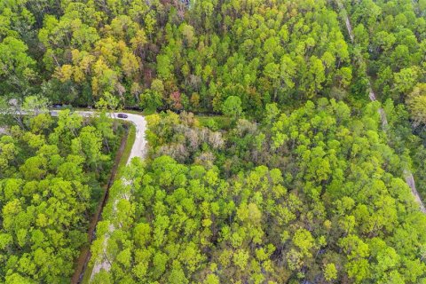 Land in DeLand, Florida № 2159759 - photo 15