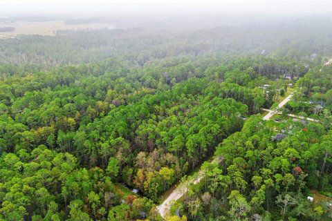 Land in DeLand, Florida № 2159759 - photo 19