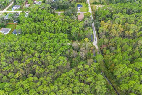 Land in DeLand, Florida № 2159759 - photo 12