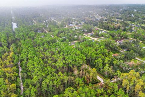 Land in DeLand, Florida № 2159759 - photo 21