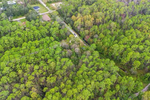 Land in DeLand, Florida № 2159759 - photo 13