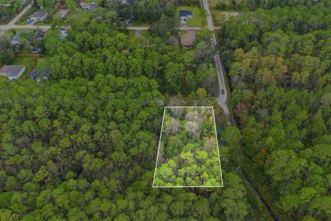 Land in DeLand, Florida № 2159759 - photo 4