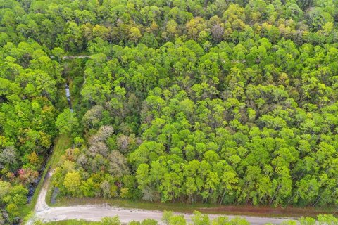 Land in DeLand, Florida № 2159759 - photo 17