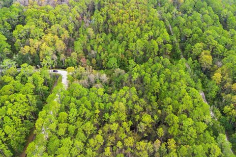 Land in DeLand, Florida № 2159759 - photo 26