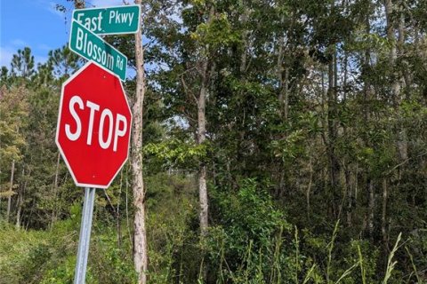 Land in DeLand, Florida № 2159759 - photo 6