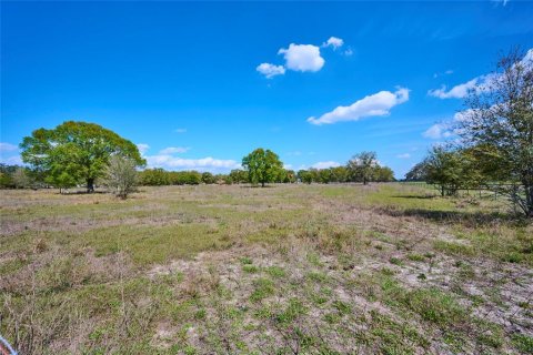 Terreno en venta en Lake Wales, Florida № 1561028 - foto 5